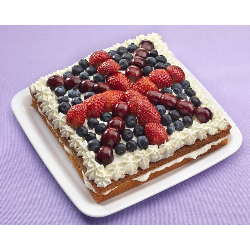 Samuel Groves 10" Square Baking Tin/Small Roasting Pan Vitreous Enamel