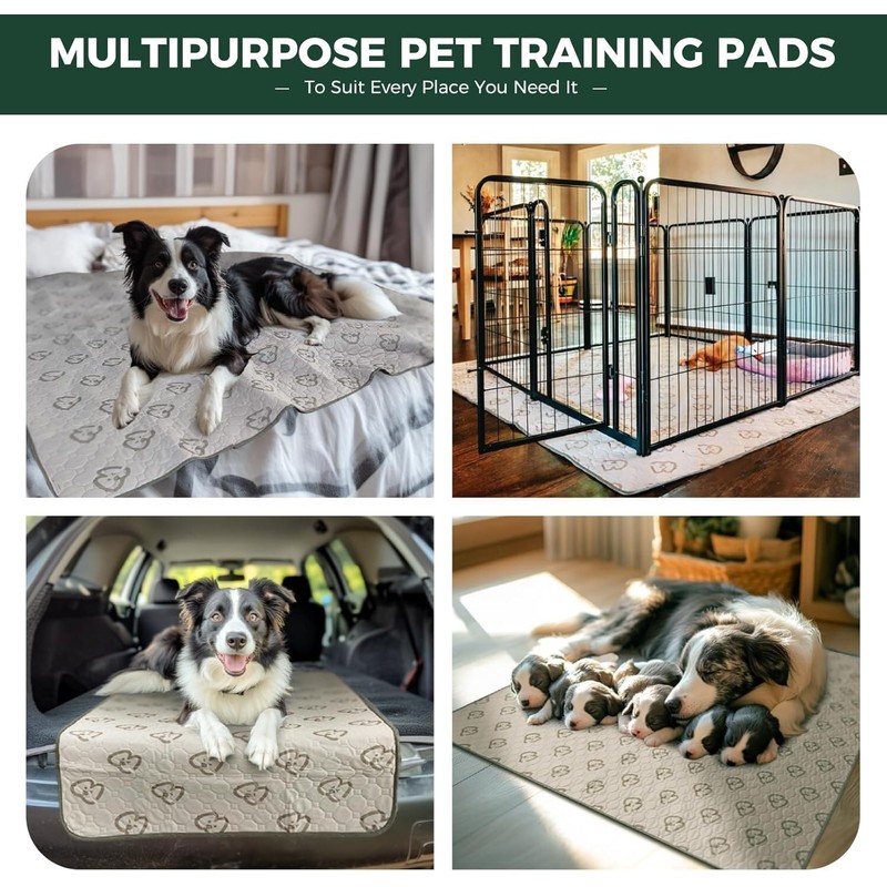 FXW Washable Pee Pads for Dogs, Leak-Proof & Non-Slip, Specifically
