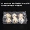 Pack of 30 Quail Egg Boxes, Quail Egg Boxes, 6