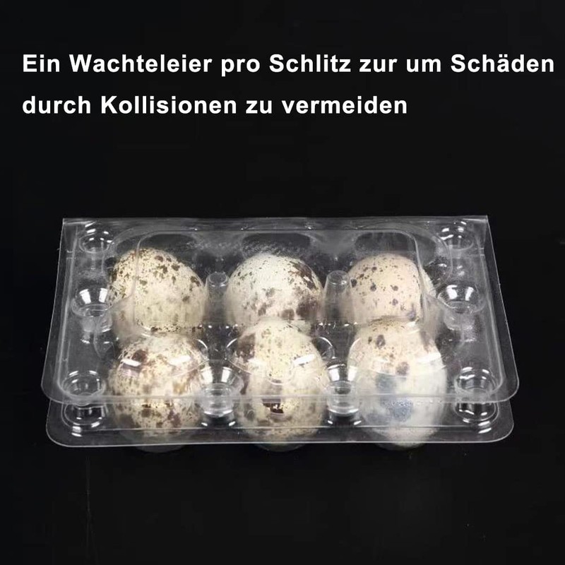 Pack of 30 Quail Egg Boxes, Quail Egg Boxes, 6