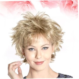 Beavorty Old Lady Wig Set Ponytail Hair Extension Women's Short Hair Wig for Senior