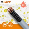 Lapp Ölflex Classic 110 Control Cable 10 m PVC Cable