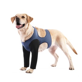 Dog Sleeves for Wounds Both Front Legs，Cone Collar Alternative, Abrasion Resistant Dog Recovery Sleeve, Washable 2.5mm Thick and Waterproof, Breathable Pet Wounds Prevent Licking (2XLarge)