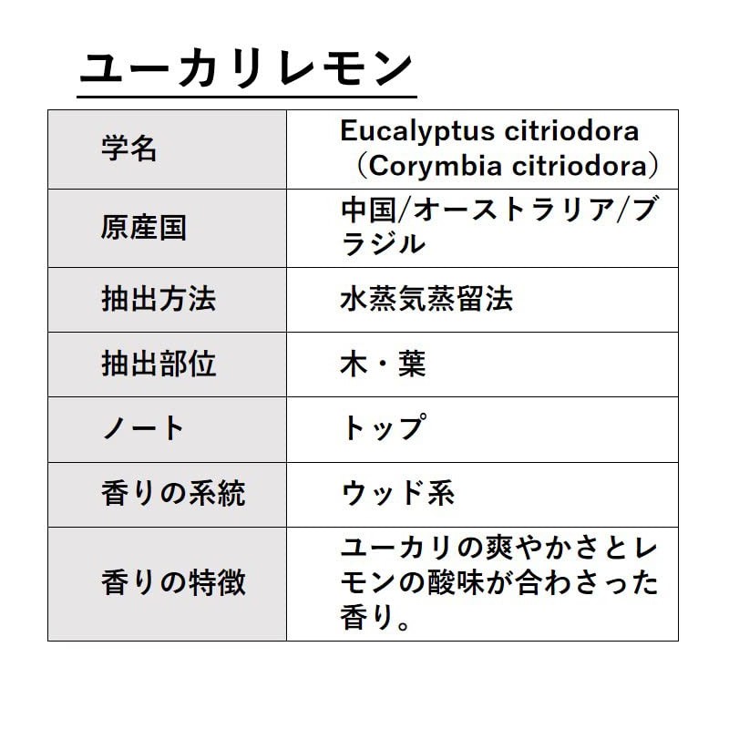 ASH Eucalyptus Lemon (Citriodora) Essential Oil, 1.7 fl oz (50