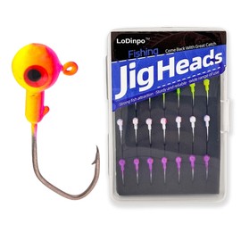 LoDinpo 28 Pcs 1/32oz 1/16oz 1/8oz Jig Heads for Bass Lure Trout Crappie Walleye Panfish in Freshwater Saltwater Swim Baits Fishing Lure Kit