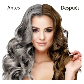 Shampoo Con Tinte De Cubre Canas Natural Jengibre 500ml