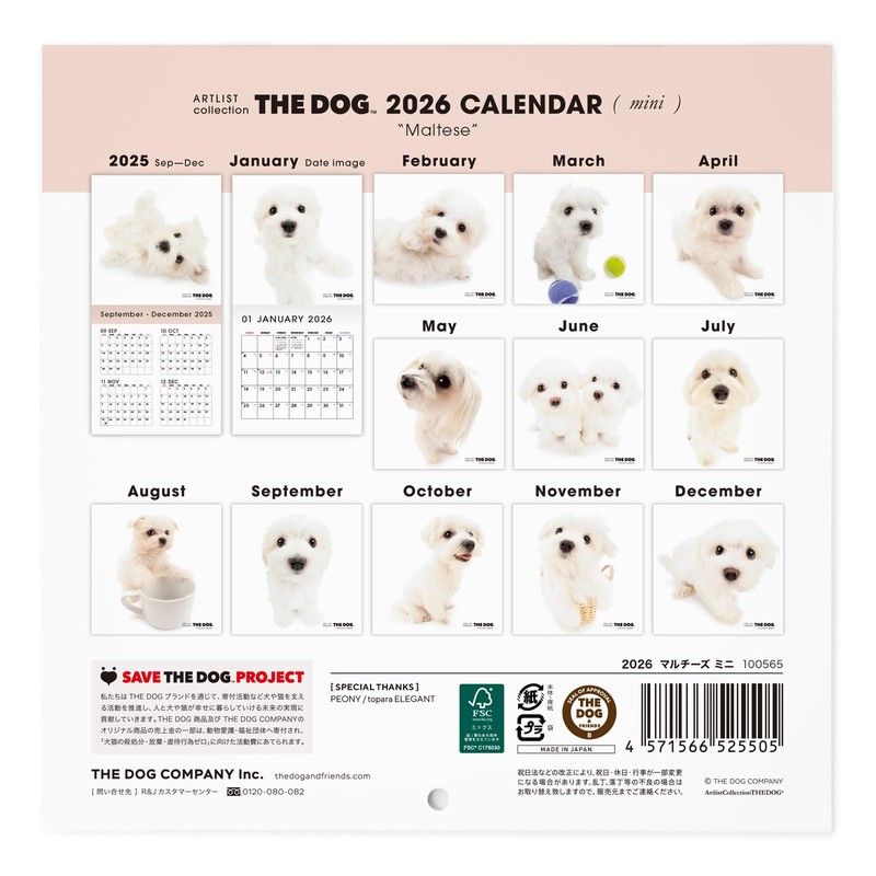 THE DOG 2026 Wall Calendar, Mini Size, Maltese