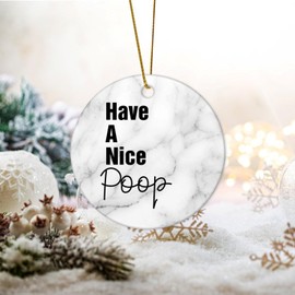DecStic Christmas Ceramic Ornaments Have A Nice Poop Christmas Porcelain Ornament Funny Positive Motivational Christmas Memory Keepsake Ornament for Family Friends Parents 3 in