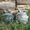 SUNGUARD Whimsical Toad Hollow Tall Stretch Medium Combo Pack Garden