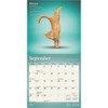 BrownTrout, Yoga Kittens 2025 Mini Wall Calendar