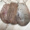LoofCo Washing-Up Scraper SET OF 3, coconut husk, single x