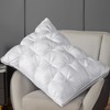 MIOTO Standard Size Luxury White Goose Down Pillow,800 Fill Power