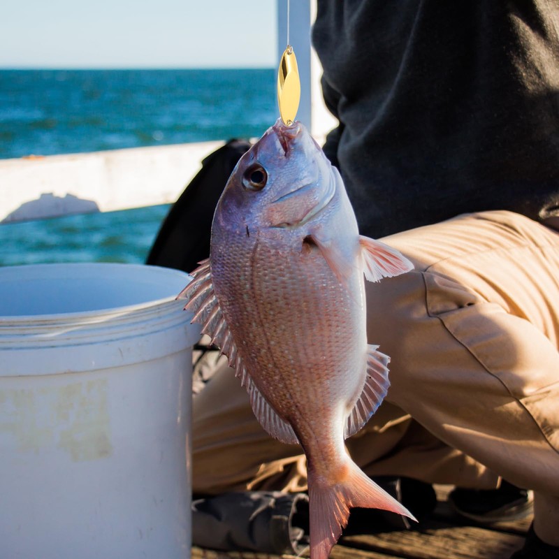 PATIKIL Fishing Spoons, 10 Pcs 1/2 oz Fishing Lures Casting