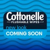 Cottonelle Flushable Wet Wipes for Adults, 2 Flip-Top Packs, 42