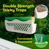 BugMD Barfly - Window Replacement Traps (6 Pack) - Window