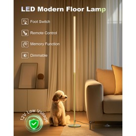 DENGALA Minimalist Corner Floor Lamp - 3000K-6000K LED Linear Standing Lamp - Dimmable Modern Floor Lamp with Remote & Foot Switch for Living Room, Bedroom (Gold)