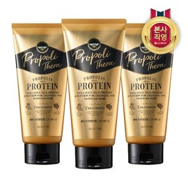 LG Household & Health Care Elastin Propolithera Treatment for Damaged Hair 300ml x 3 / LG생활건강 엘라스틴 프로폴리테라 손상 모발용 트리트먼트 300ml x 3개