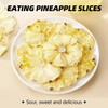 Dried Pineapple Dehydrated Slices Cocktail Garnish - 250g/8.8oz Freeze Dried