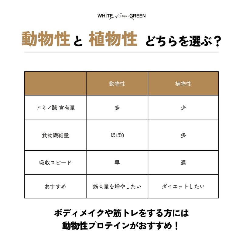 ハイブリッド腸ファイバープロテイン (38g×8個, ココア) WPI 3つの腸の奥まで届く素材配合 鈴木祐 監修 国内製造