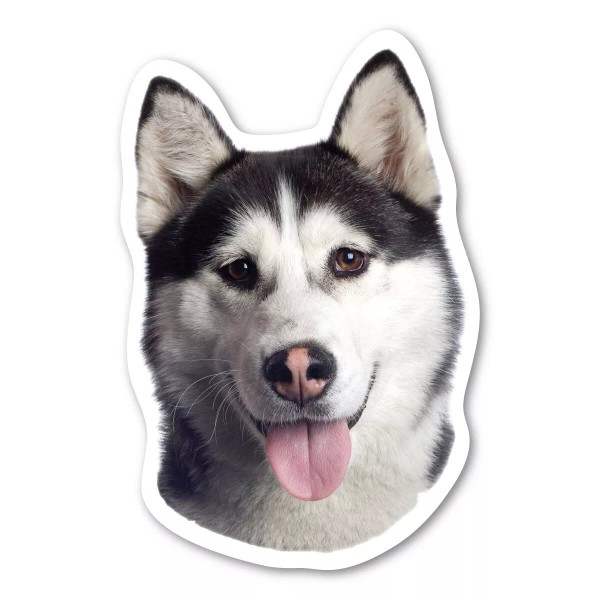 Alaskan Malamute Magnet
