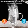 Baalaka Double Wall Glass Tea Cup With Stainless Steel Infuser
