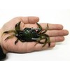 FISHING ADDICT Realistic Crab fishing lure softbait Crazy Crab Green