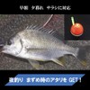【ASPALAND】Cone Float Black Tai Chinu Float Fukase Beach Fishing 2