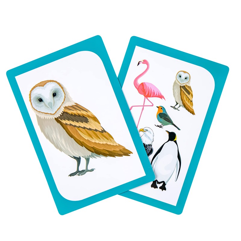 Kibbit Group It- Card Game for Improving Category Recognition and