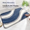 Modern Simple Bath Rugs, Non-Slip Bathroom Mat, Abstract Aesthetic Design,