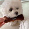 Restokki Dog Snuffle Nosework Toy - Toilet Paper Dog Toy