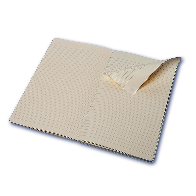 Moleskine Chapters Journal Mist Green Slim Large Ruled