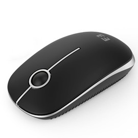 seenda Maus Kabellos, 2,4G Funkmaus mit 1600 DPI für PC/Laptop/MacBook/Linux, 3 Leise Tasten, Für Links- und Rechtshänder, 18 Monate Akkulaufzeit, Schwarz und Silber