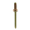 Copper Pop Rivets 1/8 Diameter Brass Mandrel Blind Rivets Dome