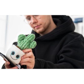 Schmoozies® Evergreenies® Cactus - Perfect for Cleaning Phone and Tablet Screens, Microfibre Backing