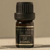 Dionel Secret Love Black Edition inner perfume fragrance oil for