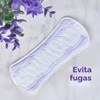 Always – Protectores diarios extra protección, protectores de longitud larga,