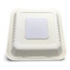 Contenedor Biodegradable 9 X 9 .de Caña 200 Pzs Especial.