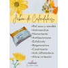 Crema Calendula,tónico Calendu/jabón Calendula 3pzs Fármasi/