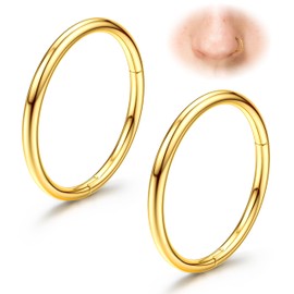 Diamday G23 Titanium Nose Rings Hoops 20G 18G 16G Seamless Hinged Rings for Nose Piercings Hypoallergenic Click Septries Helix Rings Lip Piercings Daith Conch Tragus Rook Belly Button Gold/Silver,