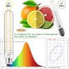 NOVELUX 7.3 Inch E26 Led Bulb 6W Dimmable, 2700K Soft