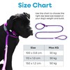 HugglePets Reflective Rope Slip Lead for Dogs - Purple (113cm)