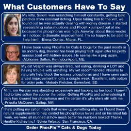 HealthyKidney  PhosFix for Cats & Dogs: Phosphorus Binder for Cats & Dogs