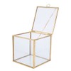 Gold Edge Geometric Glass Plant Planter Succulent Plants Container Home