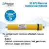 Watts Premier RO Water Filter 50 GPD (Gallons Per Day)