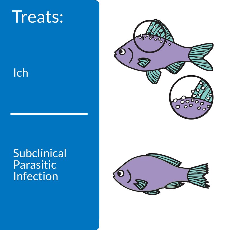 API Liquid Super ICK Cure Freshwater and Saltwater Fish Medication