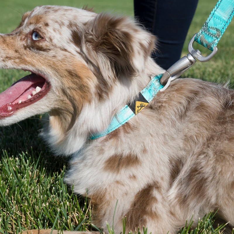 Browning Classic Preformance Webbing Pet Collar, Fully Adjustable, Available in