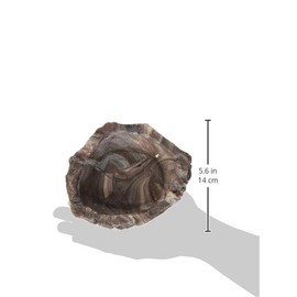 Fluker's Fluker's Repta Bowl, Food and Water Bowl for Reptiles and Small Animals, Medium 6"