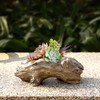 Aclema Succulent Planters Driftwood Planter Succulent Pots Small Plant Flower