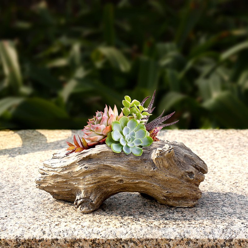 Aclema Succulent Planters Driftwood Planter Succulent Pots Small Plant Flower