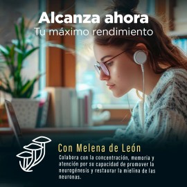Nootrópicos BPN PRO con Melena de León y Omega 3 | Suplemento para Concentración, Enfoque y Memoria | Cápsulas con Ácidos Grasos Esenciales y Extractos Naturales | Potencia tu Rendimiento Menta